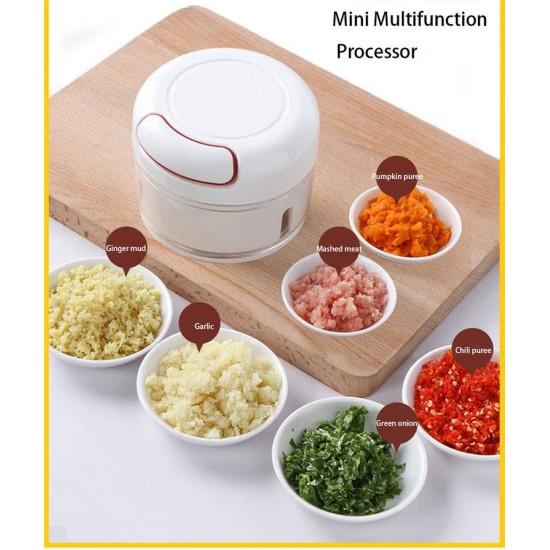 Manual Chilly Nuts Meat Garlic Onion Ginger Chopper  - White