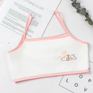 Soft Cotton Student Girl Bra Cartoon - Pink
