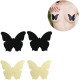 Cross-Border Spot Black Ultra Thin Unisex Nipple Stickers Cover Butterfly Black Cross-Border Spot Black Ultra Thin Unisex Nipple Stickers Cover Butterfly Black