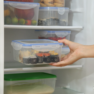 Food Sealed Frozen Meat Fruit Box Refrigerator Storage Organizer
