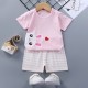 Breathable New Born Short Sleeve  Two Piece Cotton Outfit Matching Set