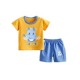 Fashion Short Sleeve T Shirts Cotton Shirts New Born Matching Set