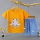 Fashion Short Sleeve T Shirts Cotton Shirts New Born Matching Set