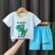 New Born Toddler Shirt Fashion Shorts 2pcs Tracksuits Matching Set New Born Toddler Shirt Fashion Shorts 2pcs Tracksuits Matching Set