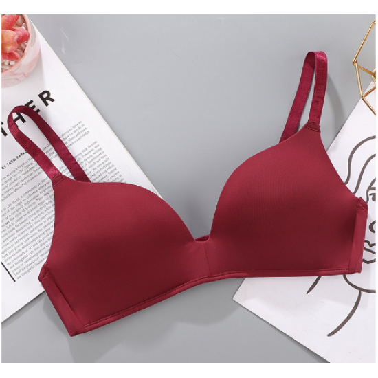 European Style Seamless Soft Women Bra - Purple European Style Seamless Soft Women Bra - Purple