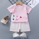 Breathable New Born Short Sleeve  Two Piece Cotton Outfit Matching Set