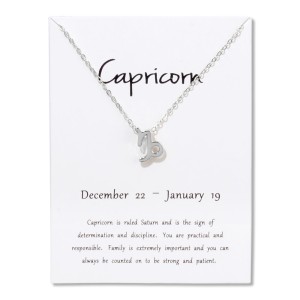 Constellations Necklace Pendant Capricorn Silver