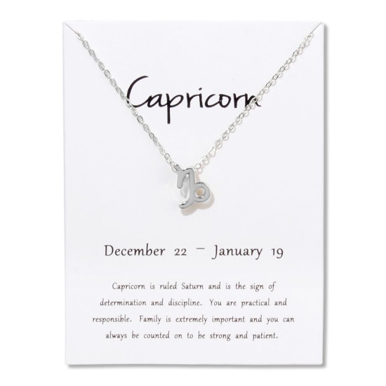 Constellations Necklace Pendant Capricorn Silver